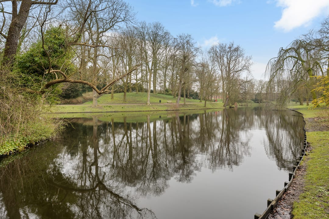 Photo 43 of Selwerderstraat 1