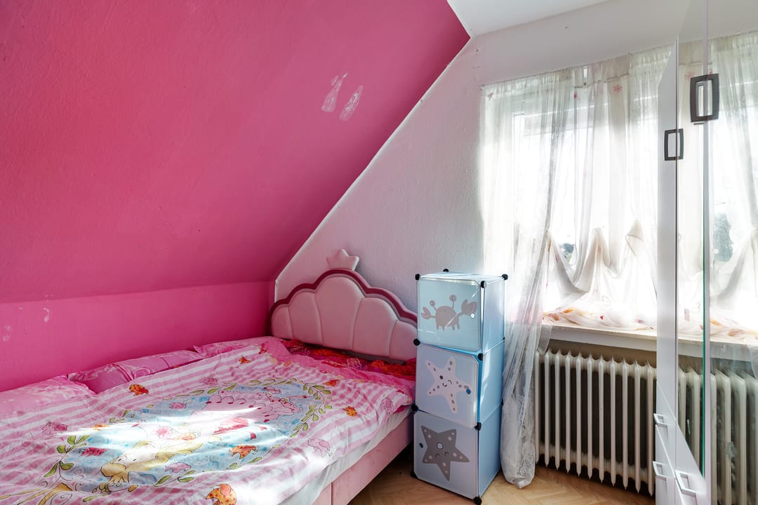 Rural former bridge keeper's house with spacious plot near the Dutch border — 19