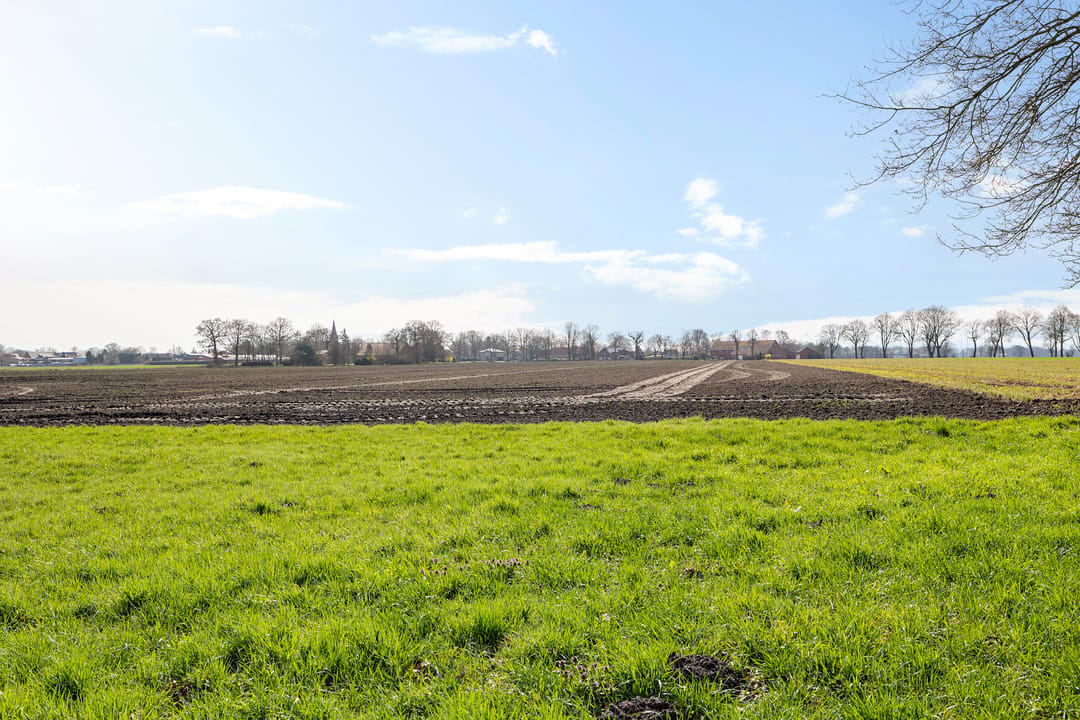 Rural former bridge keeper's house with spacious plot near the Dutch border — 26