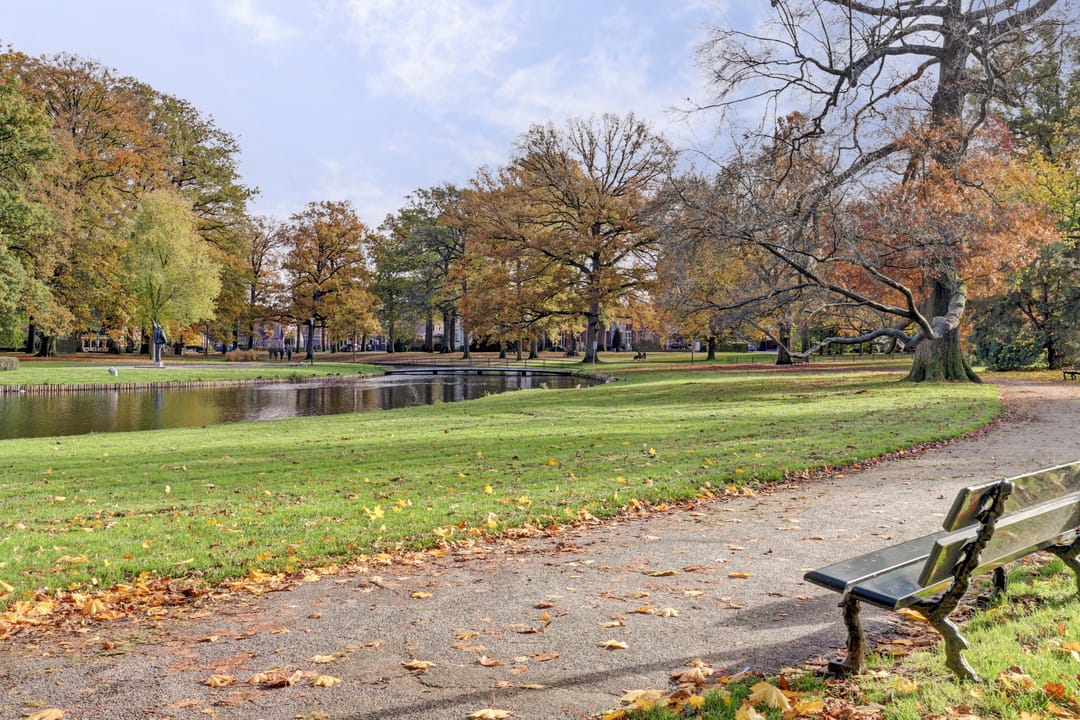 Photo 47 of Paul Krugerstraat 16