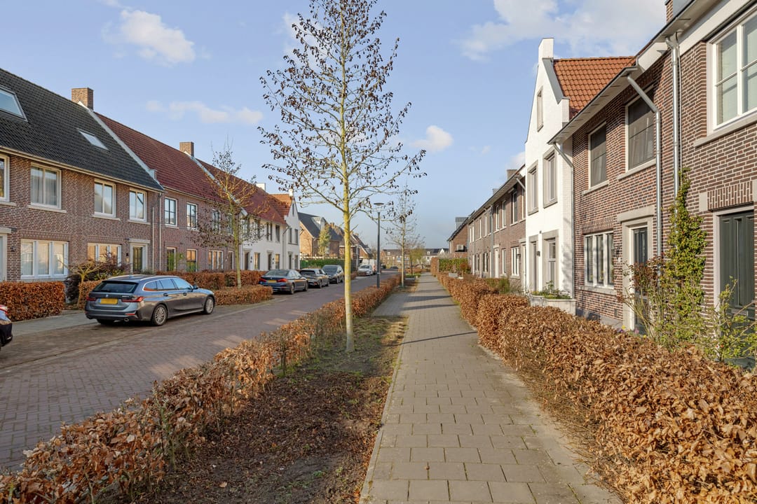 Foto 46 van Zwartbont 7