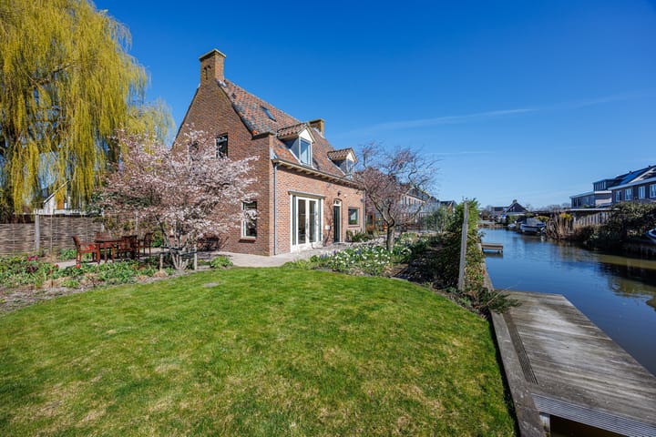 Foto 2 van Knoopkruid 54