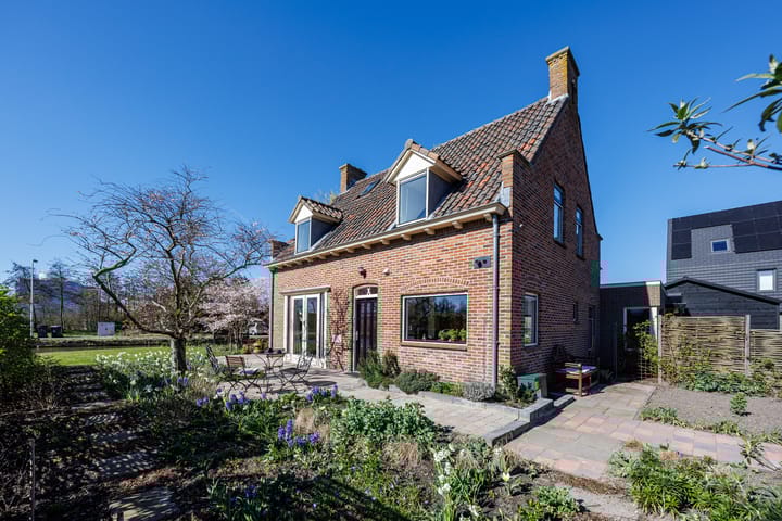 Foto 3 van Knoopkruid 54