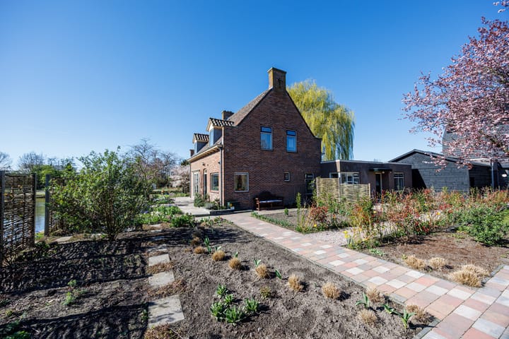 Foto 4 van Knoopkruid 54