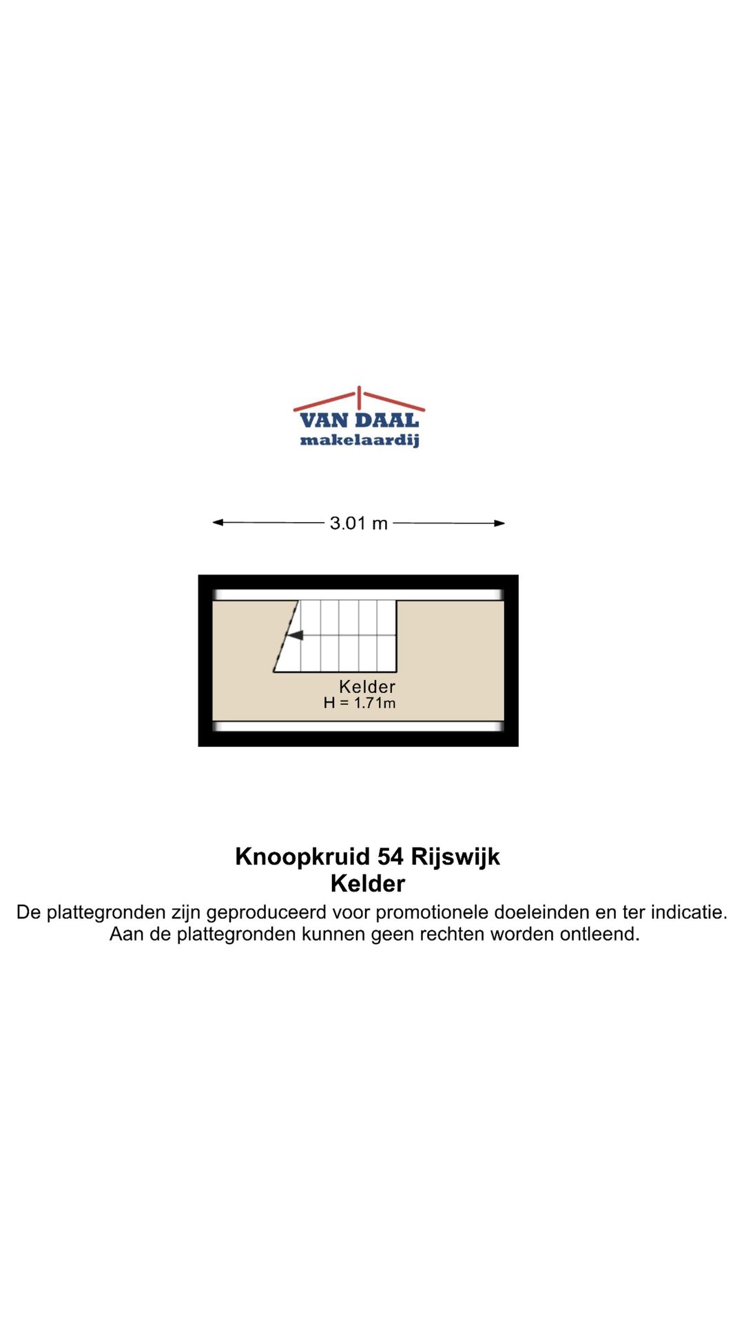 Foto 83 van Knoopkruid 54