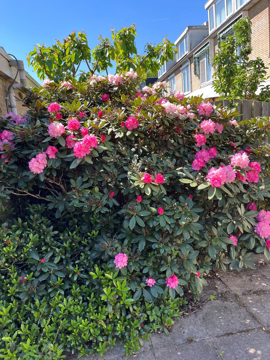 Photo 52 of Traviatastraat 63