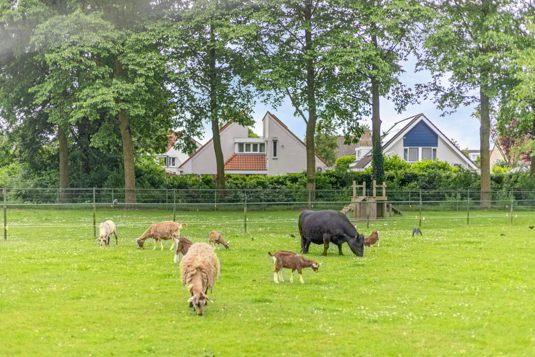 Foto 26 van Augustinessenborch 40