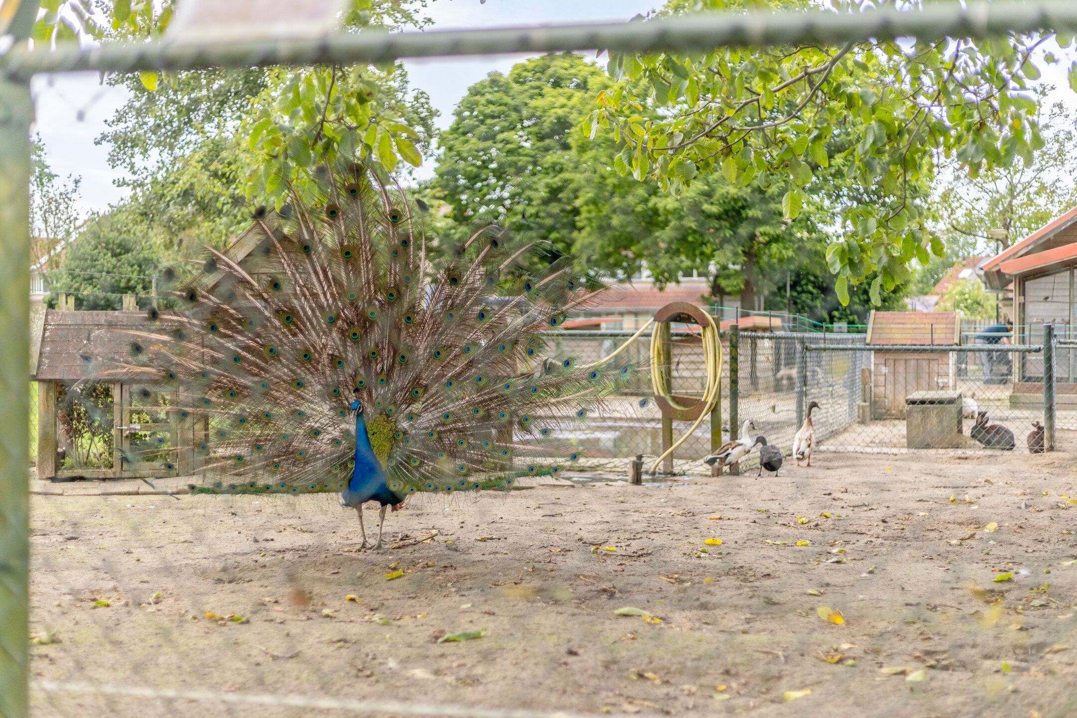 Foto 27 van Augustinessenborch 40