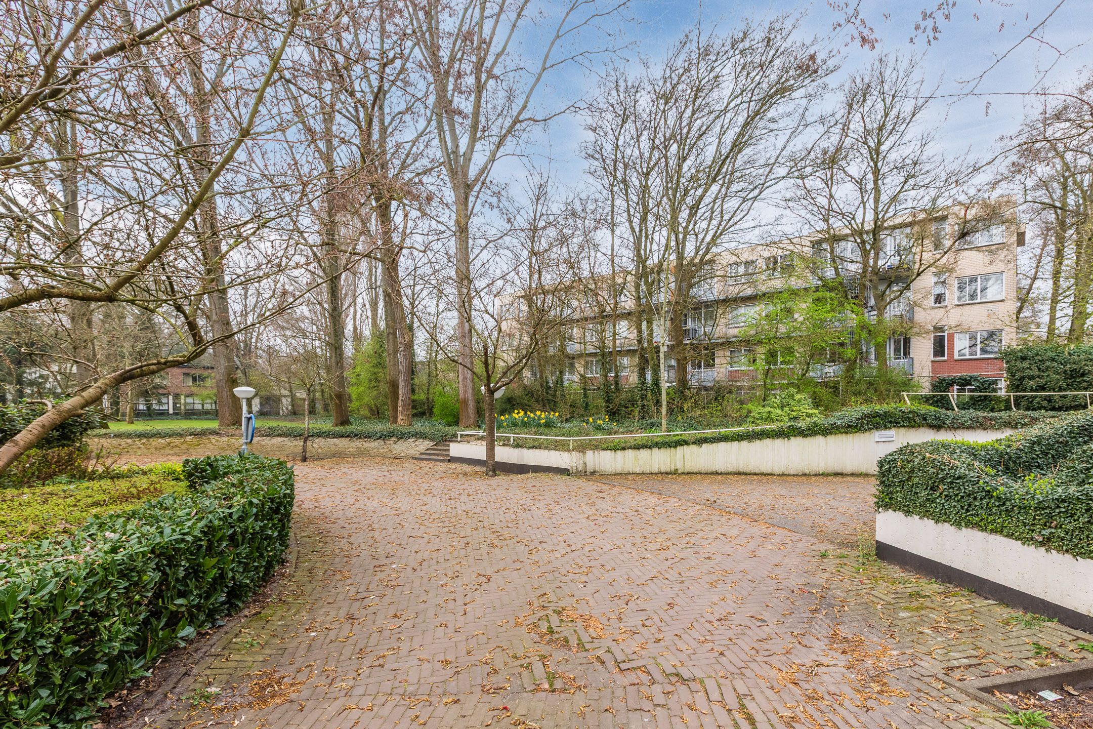 Photo 24 of Diaconessenplein 62