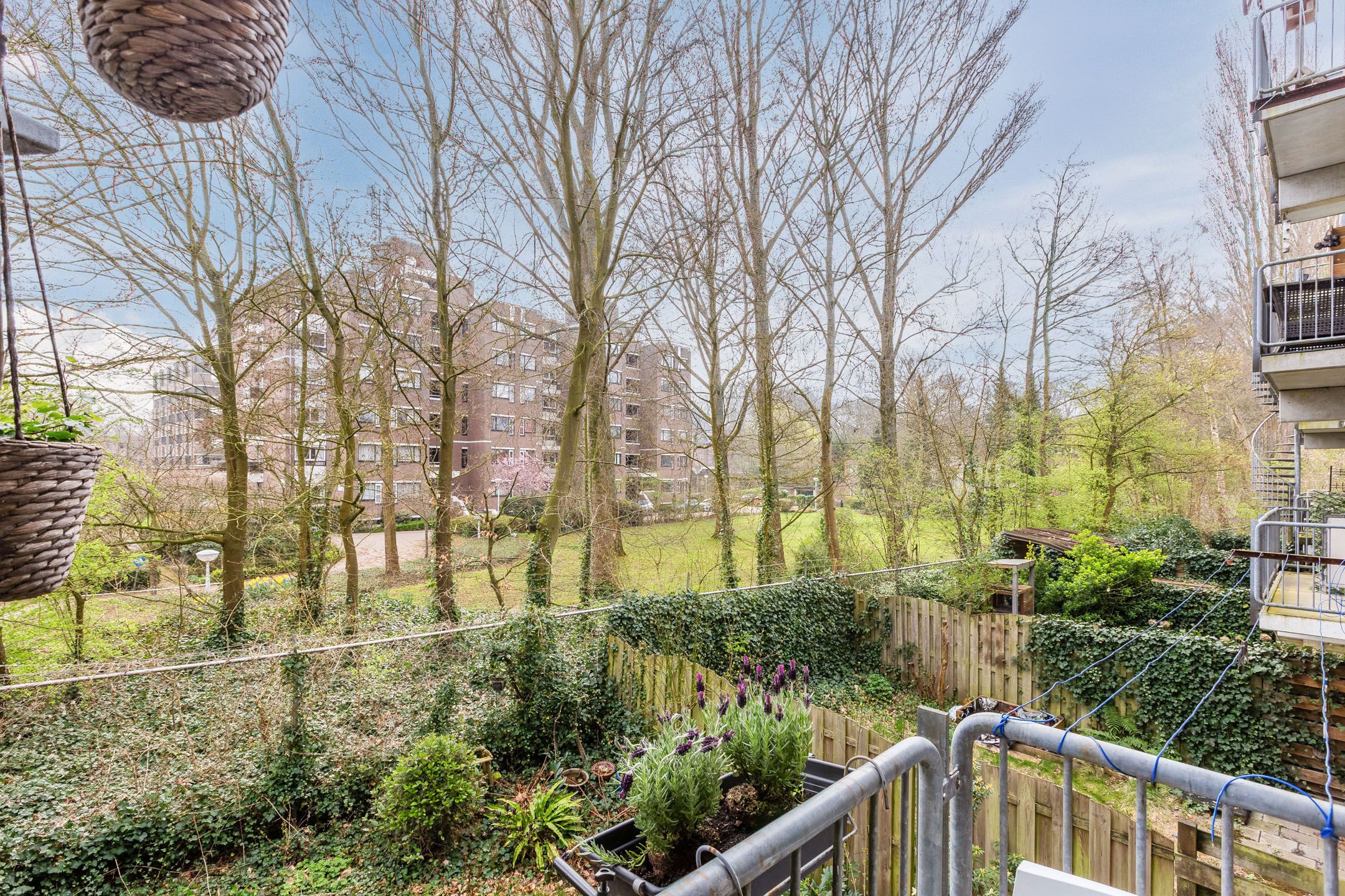 Photo 21 of Diaconessenplein 62