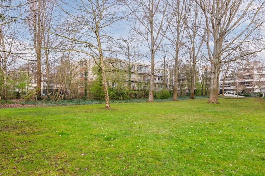 Photo 23 of Diaconessenplein 62