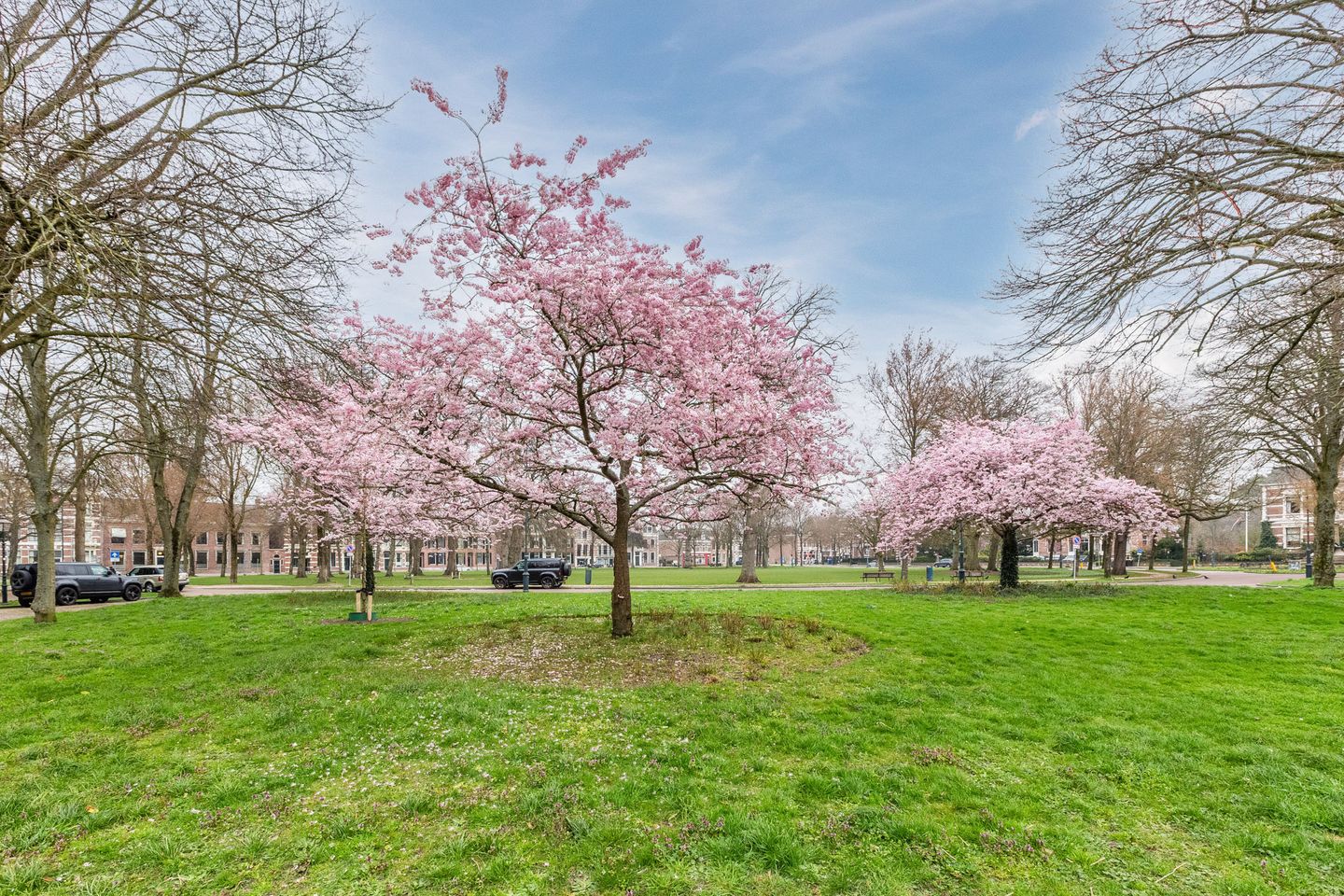 Photo 29 of Diaconessenplein 62