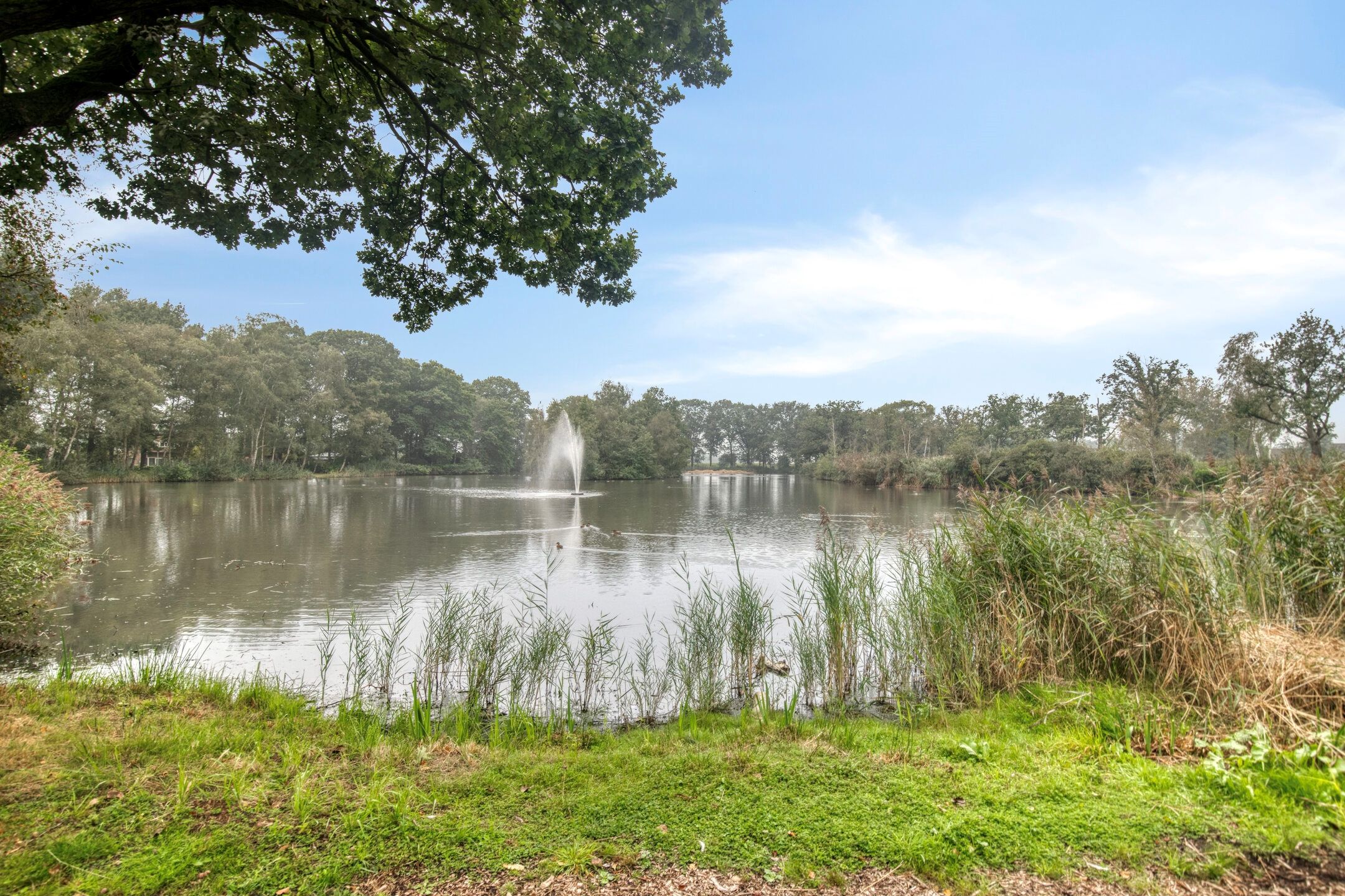 Foto 45 van Kleine Heistraat 16-K092