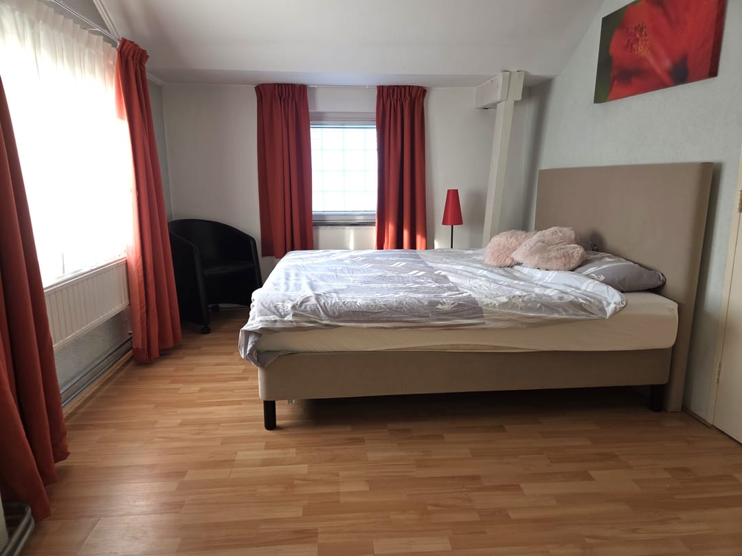 Unique property with guest house and former bulb shed in De Zilk — 41