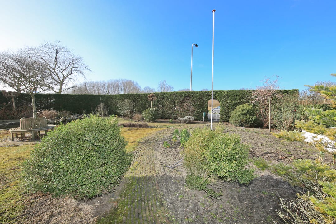 Unique property with guest house and former bulb shed in De Zilk — 48
