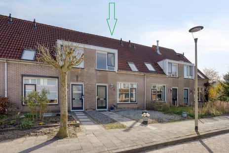 undefined main image