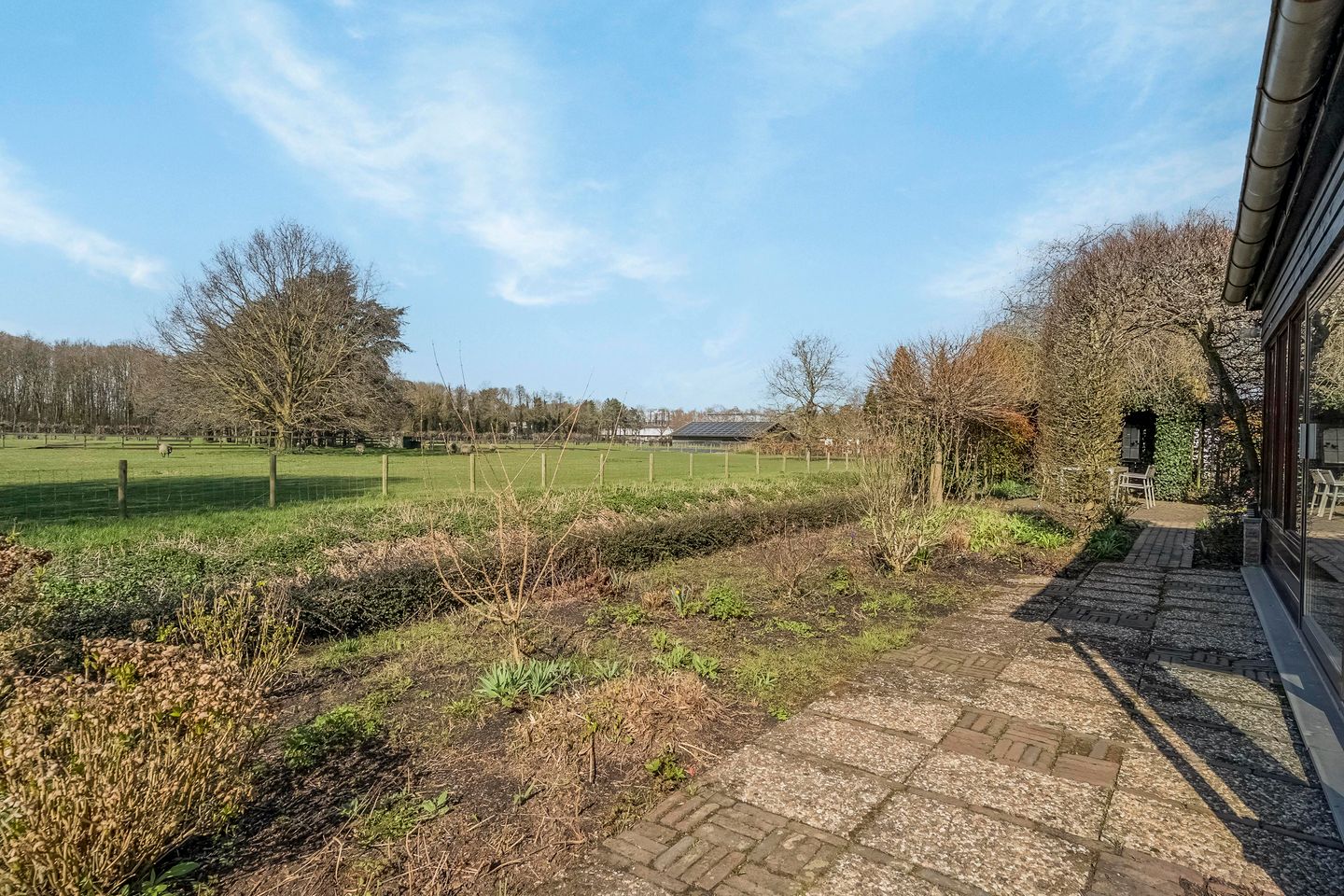 Photo 40 of van Hogendorplaan 5