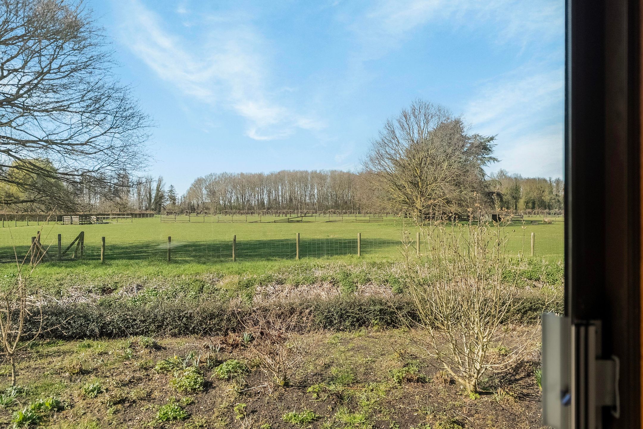 Photo 18 of van Hogendorplaan 5