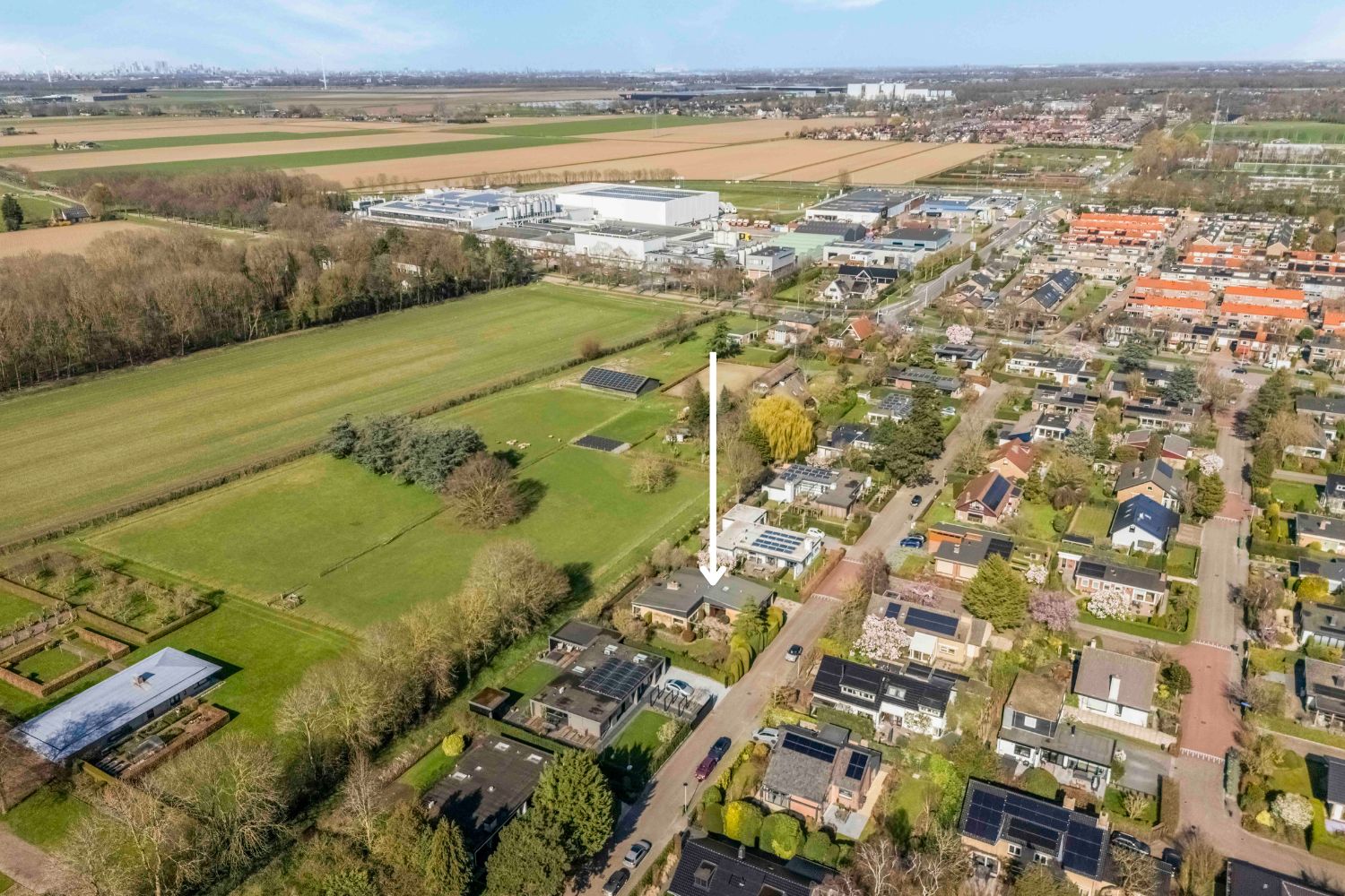 Photo 6 of van Hogendorplaan 5