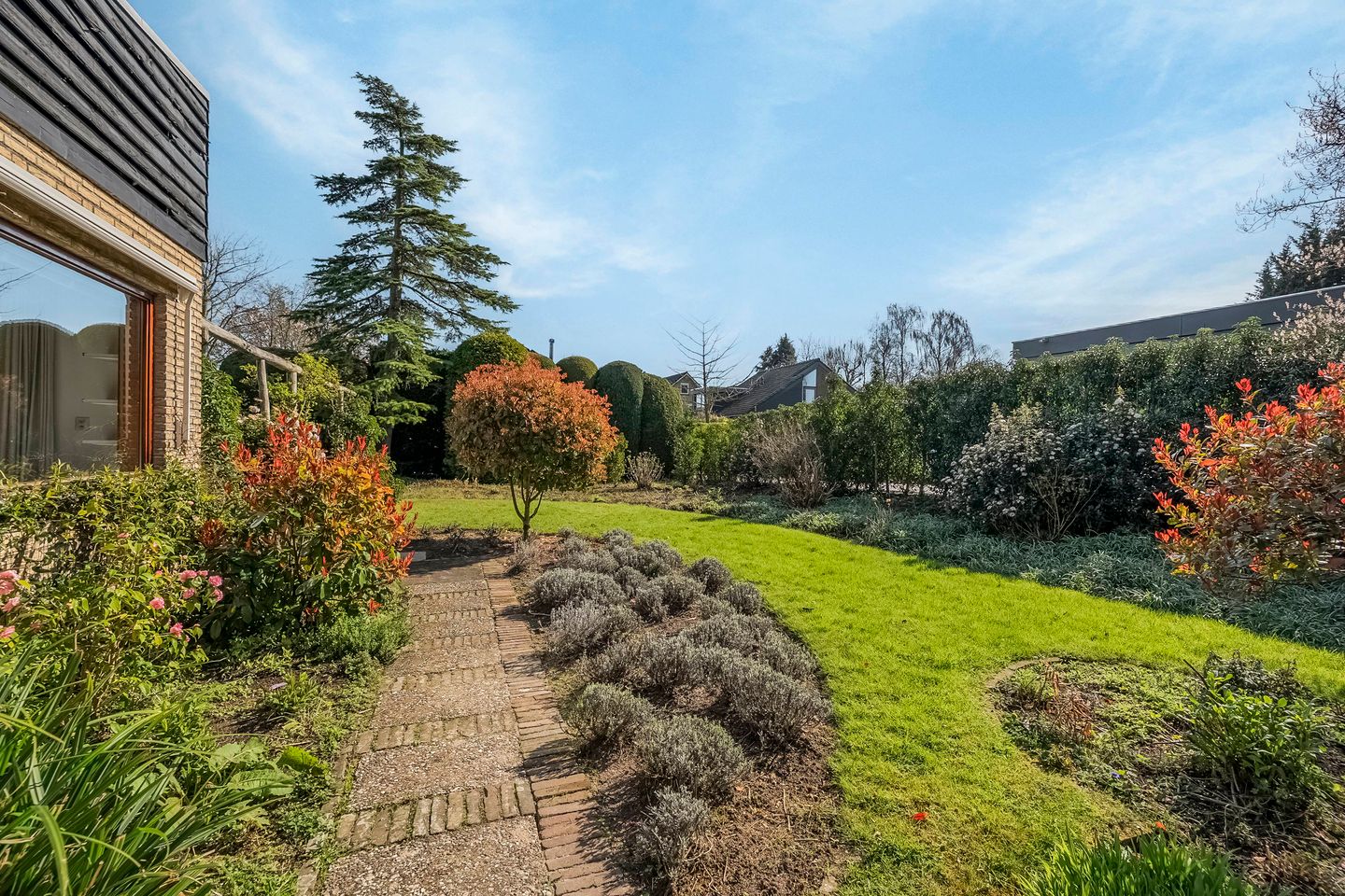 Photo 44 of van Hogendorplaan 5