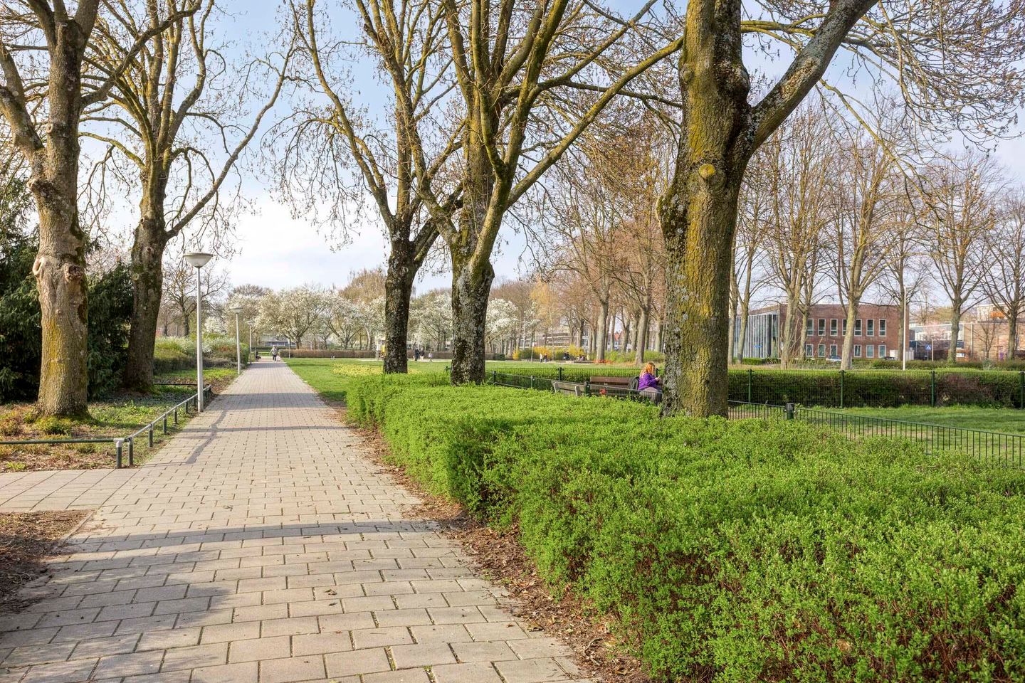 Foto 29 van Sebastiaan van Noyestraat 20