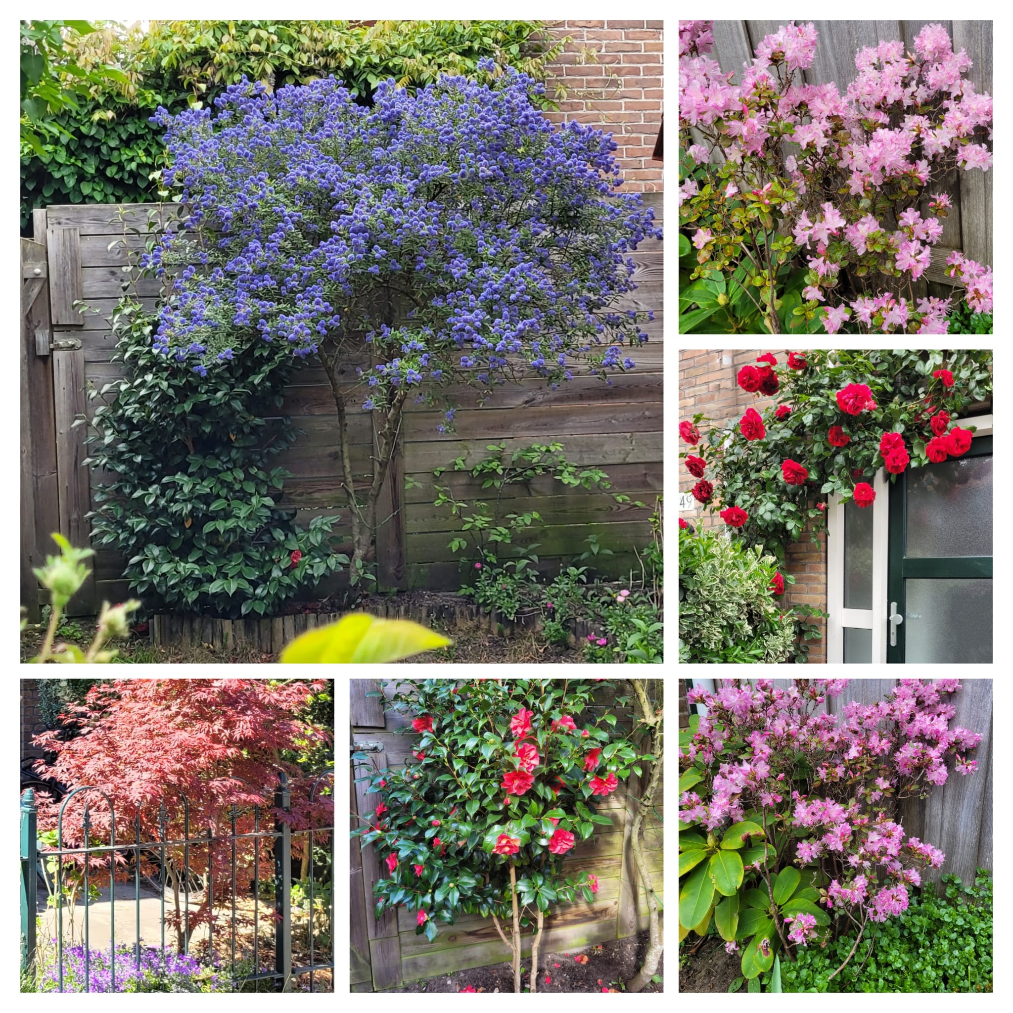 Foto 27 van Indischestraat 151