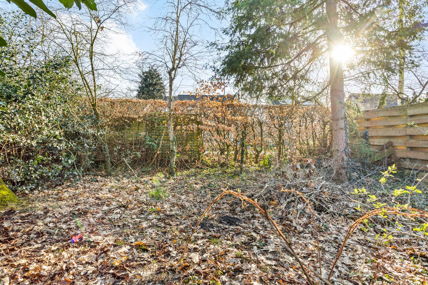 Foto 44 van Eexterweg 43