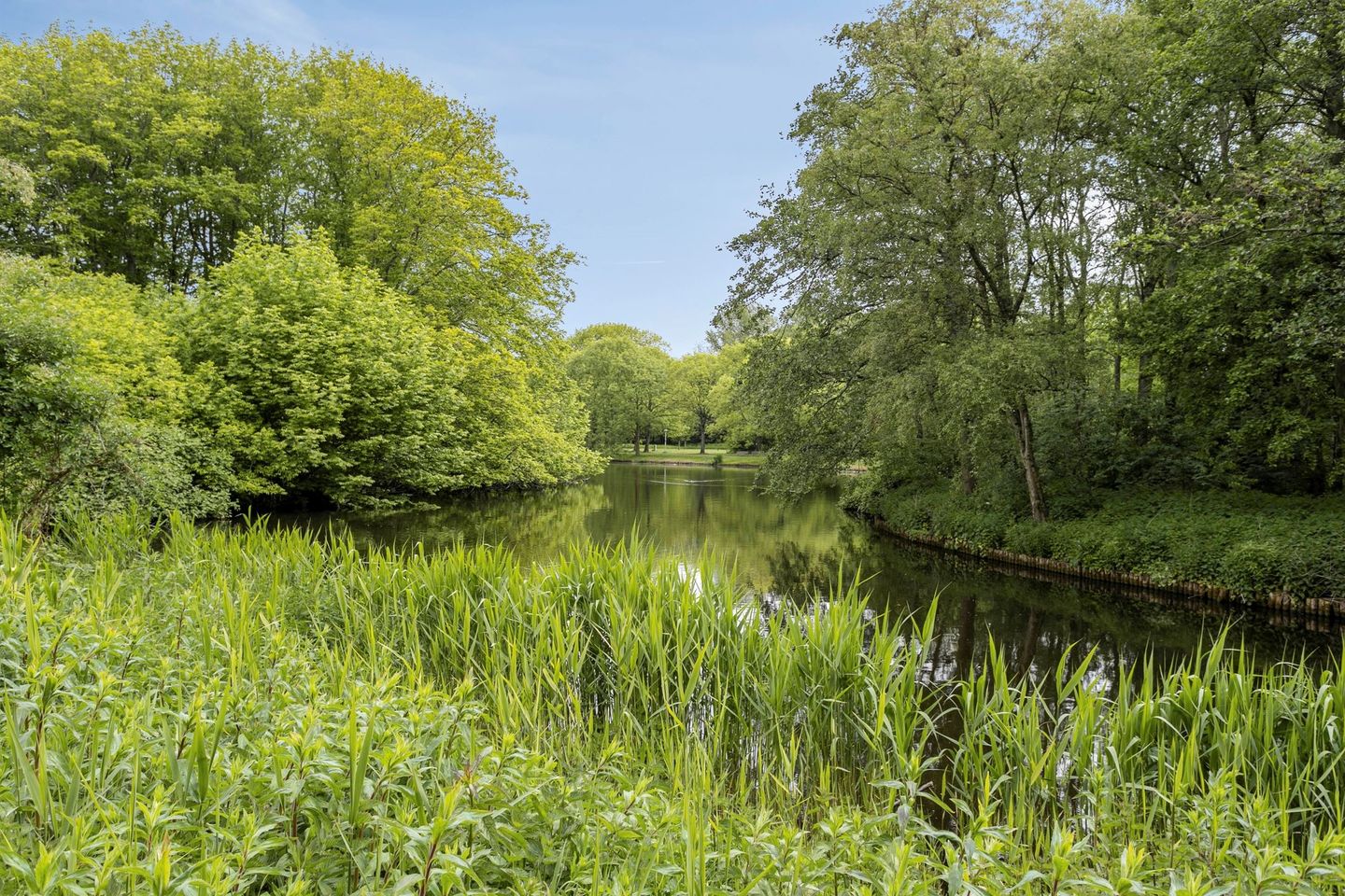 Photo 20 of Van Walbeeckstraat 105-H