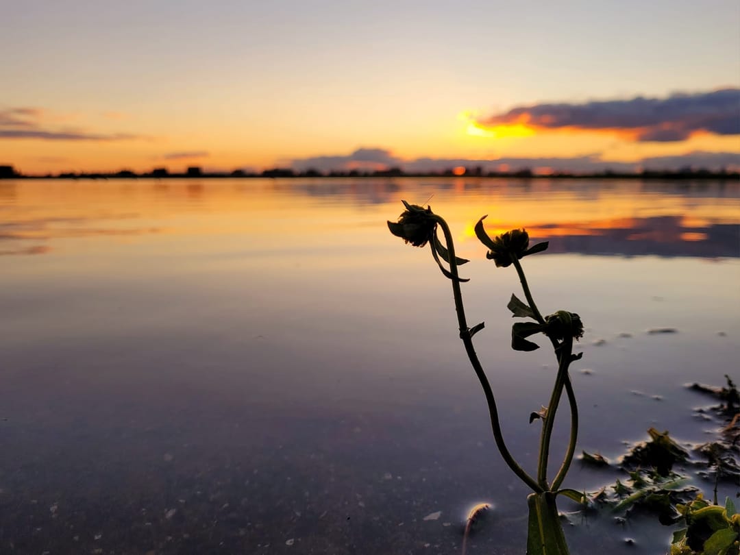 Foto 62 van Dodaarsoever 13