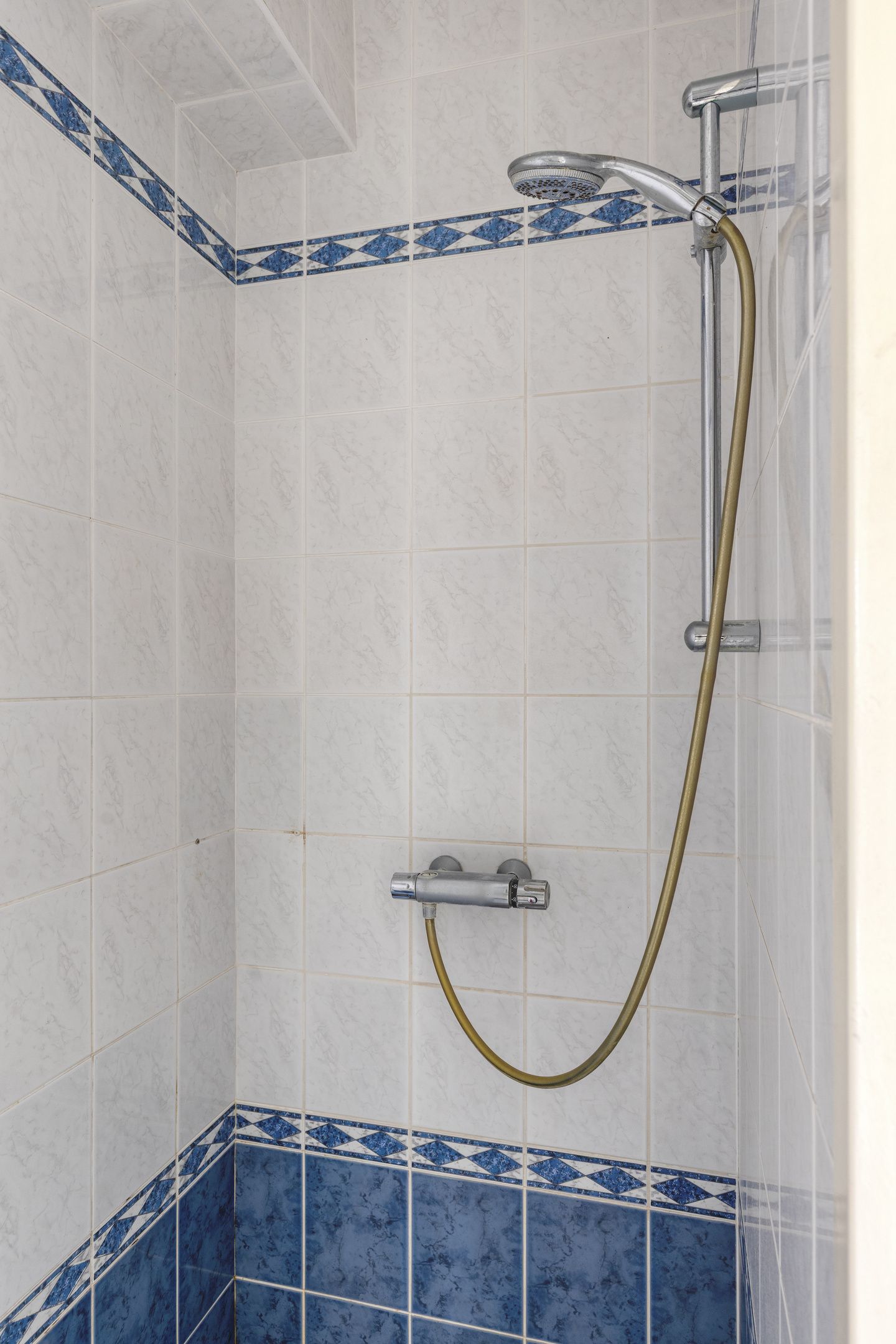 Foto 5 van Waterkers 7