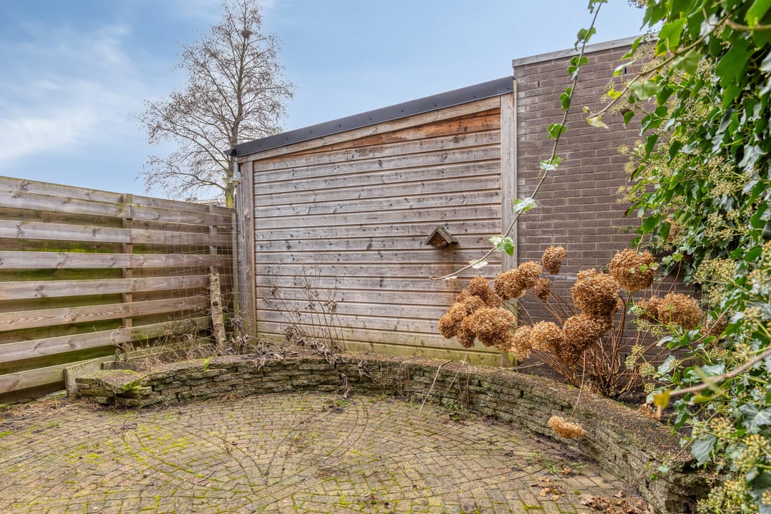 Foto 17 van Waterkers 7