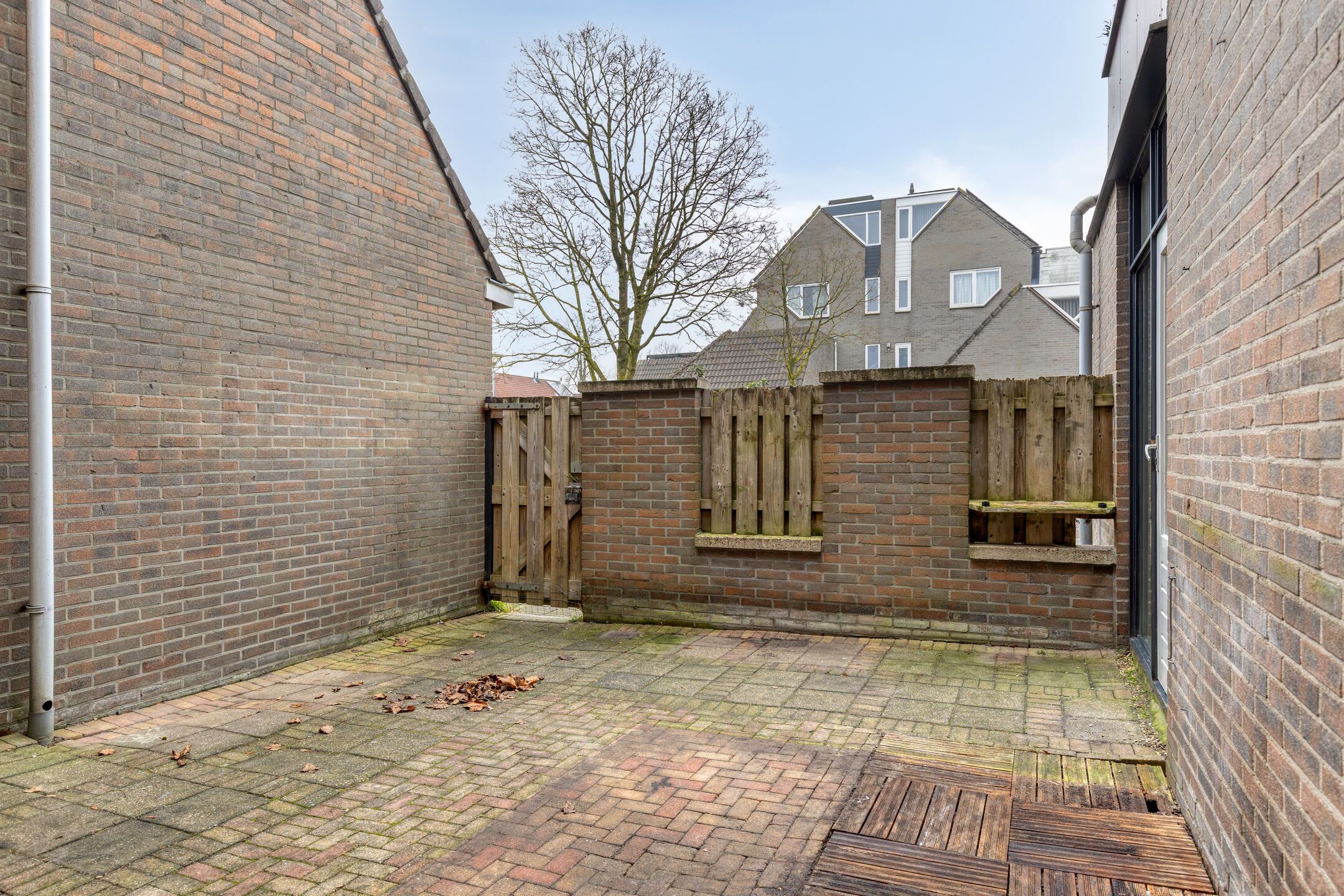 Foto 18 van Waterkers 7