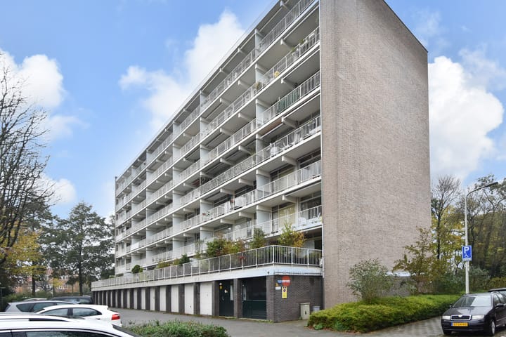 Photo 3 of Suzannaland 518