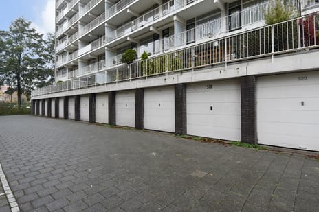 Suzannaland thumbnail