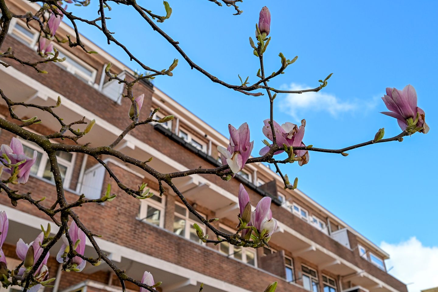 Foto 25 van Lijnbaan 94