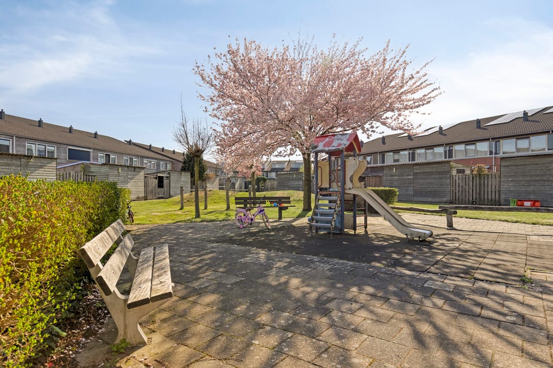 Foto 11 van Eurokade 17