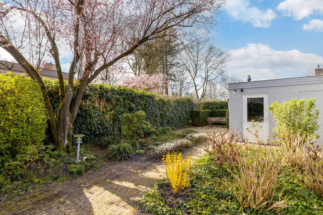 Foto 17 van Liviusstraat 11