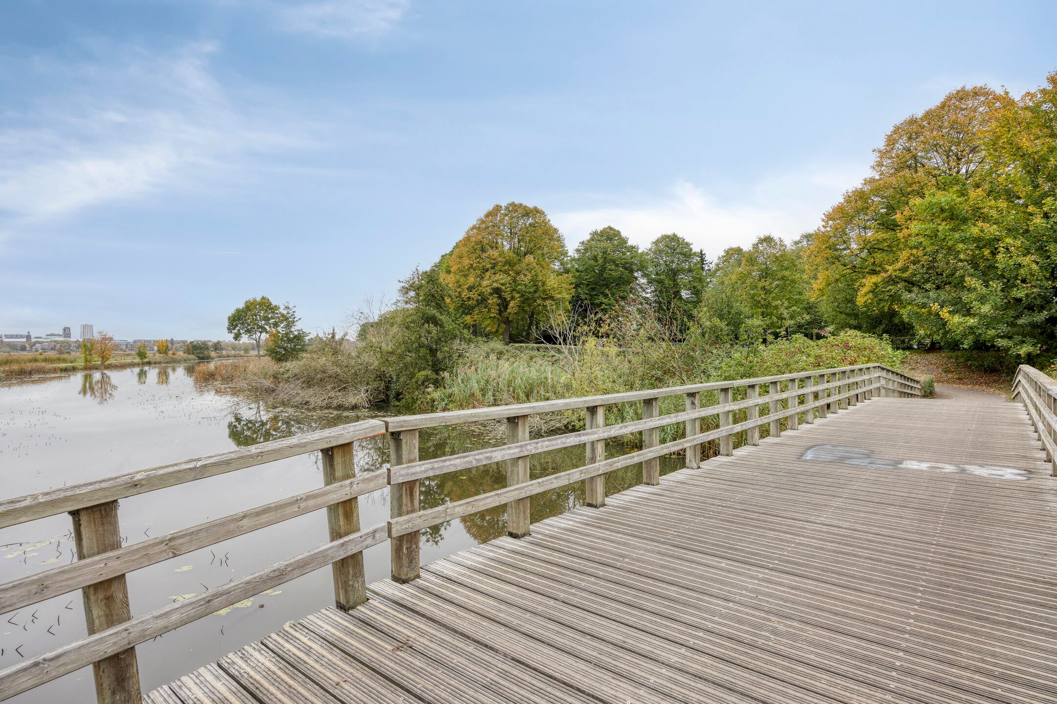 Foto 30 van Liviusstraat 11