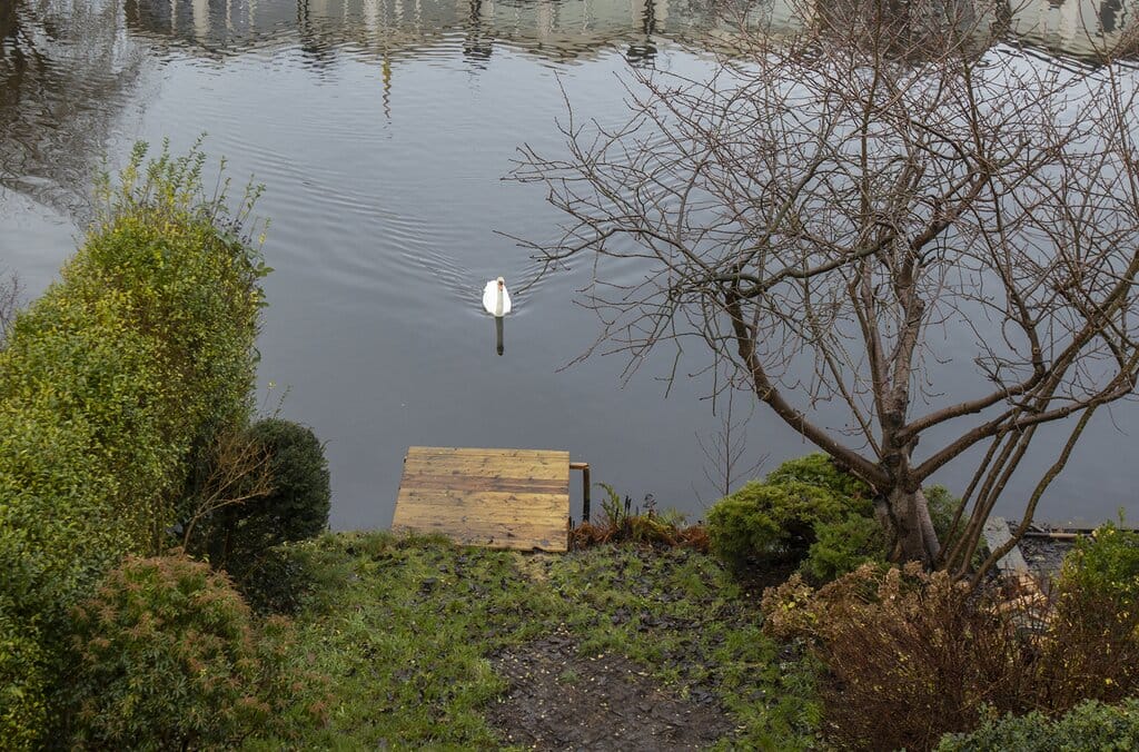 Photo 36 of Willem Pijperlaan 7