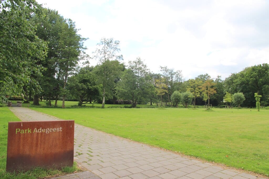 Photo 45 of Willem Pijperlaan 7