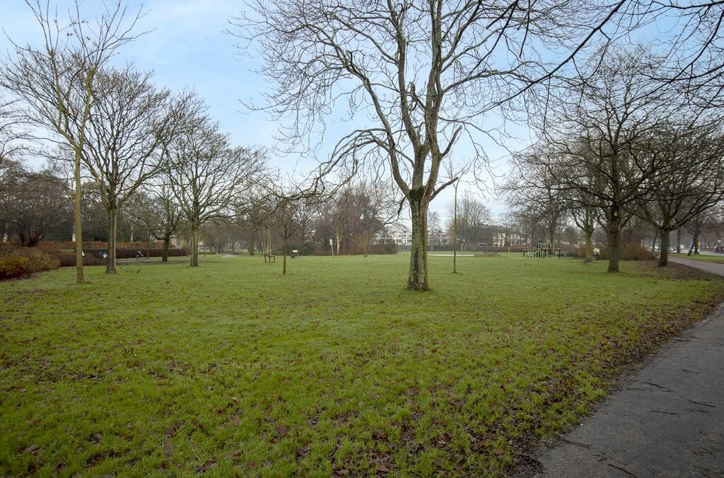 Photo 46 of Willem Pijperlaan 7