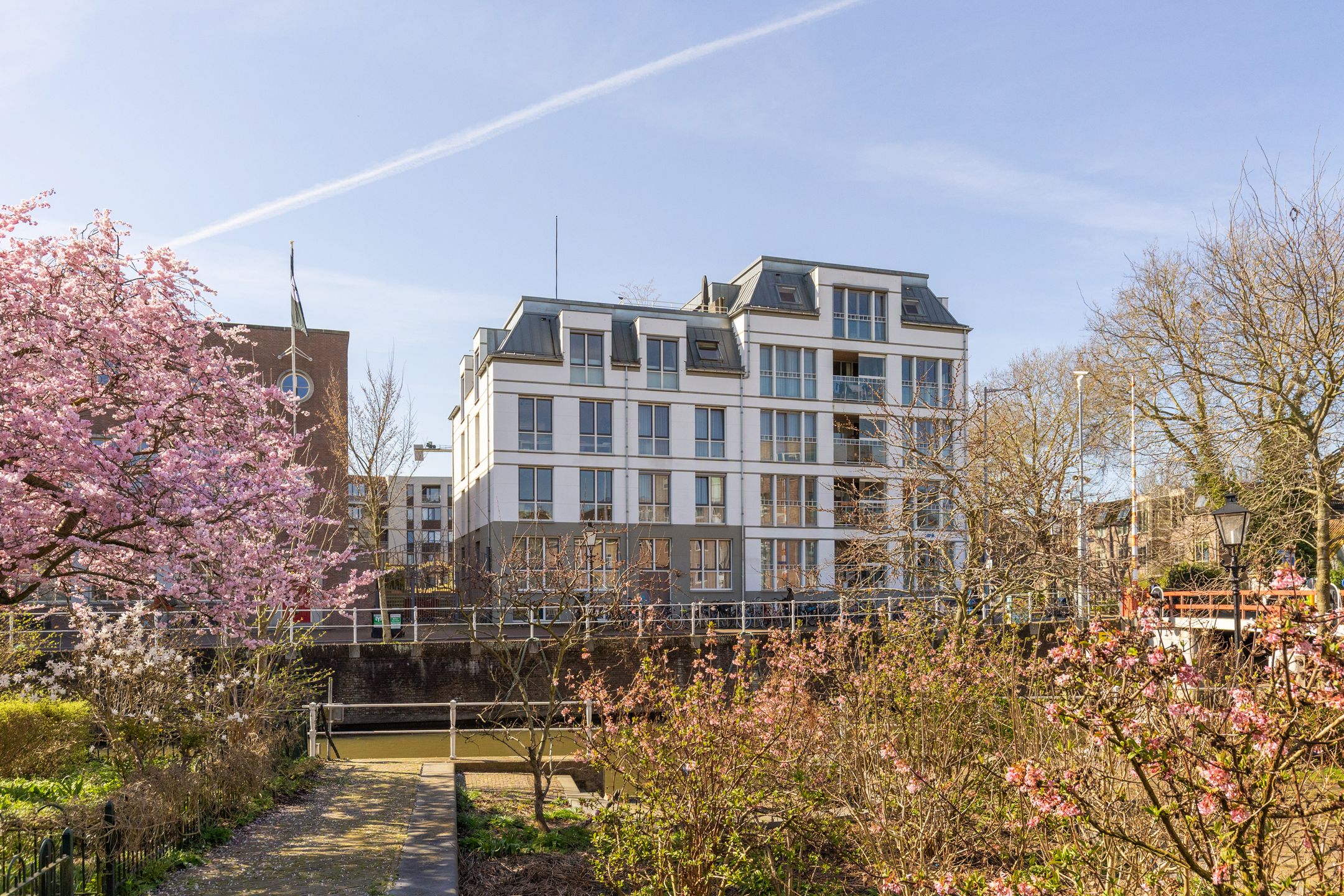 David van Mollemstraat 145 