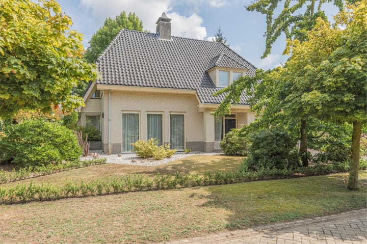 De Scheifelaar 227