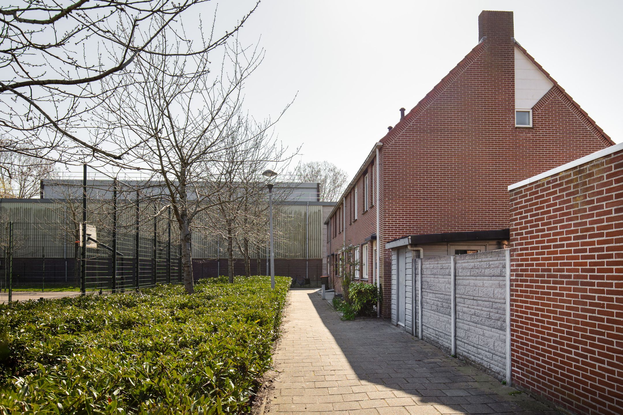 Photo 30 of Zevenwoudenplantsoen 11