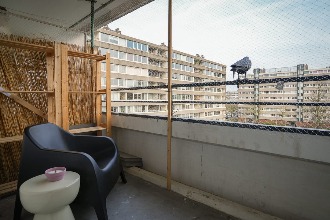 Foto 23 van Androsdreef 80