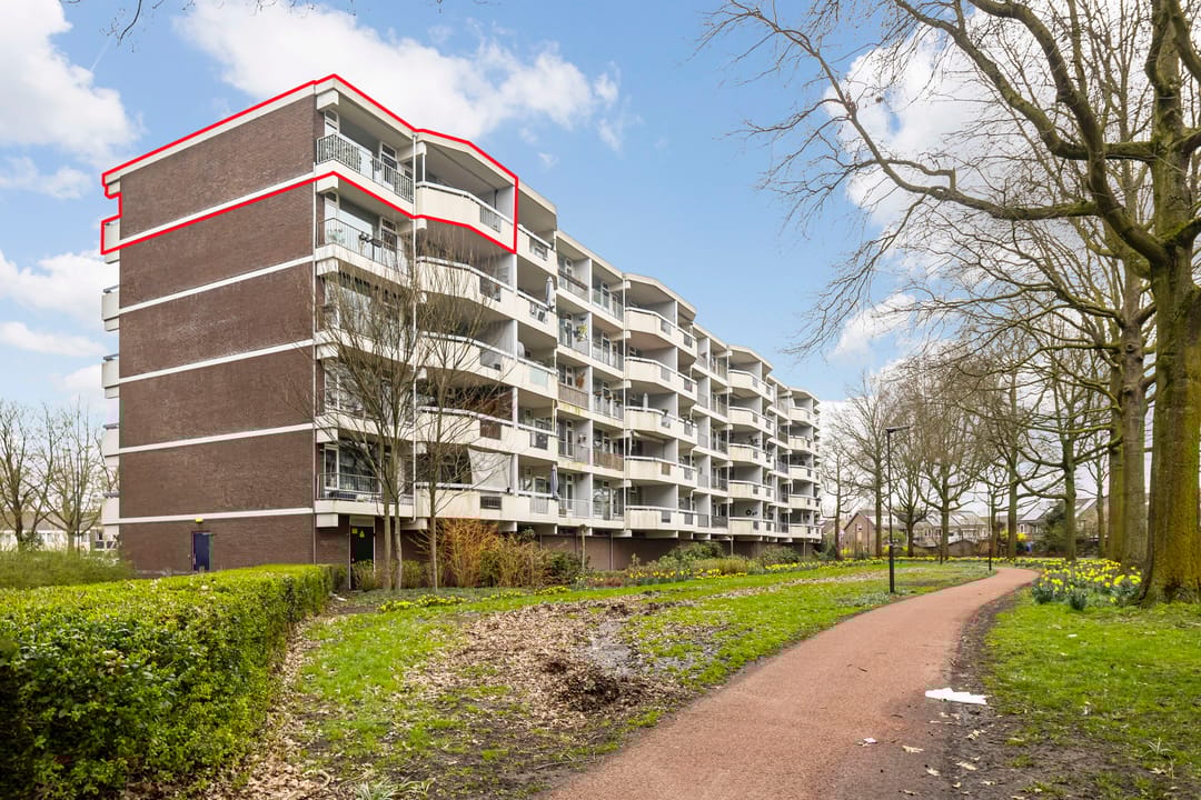 Foto 1 van Pollux 201