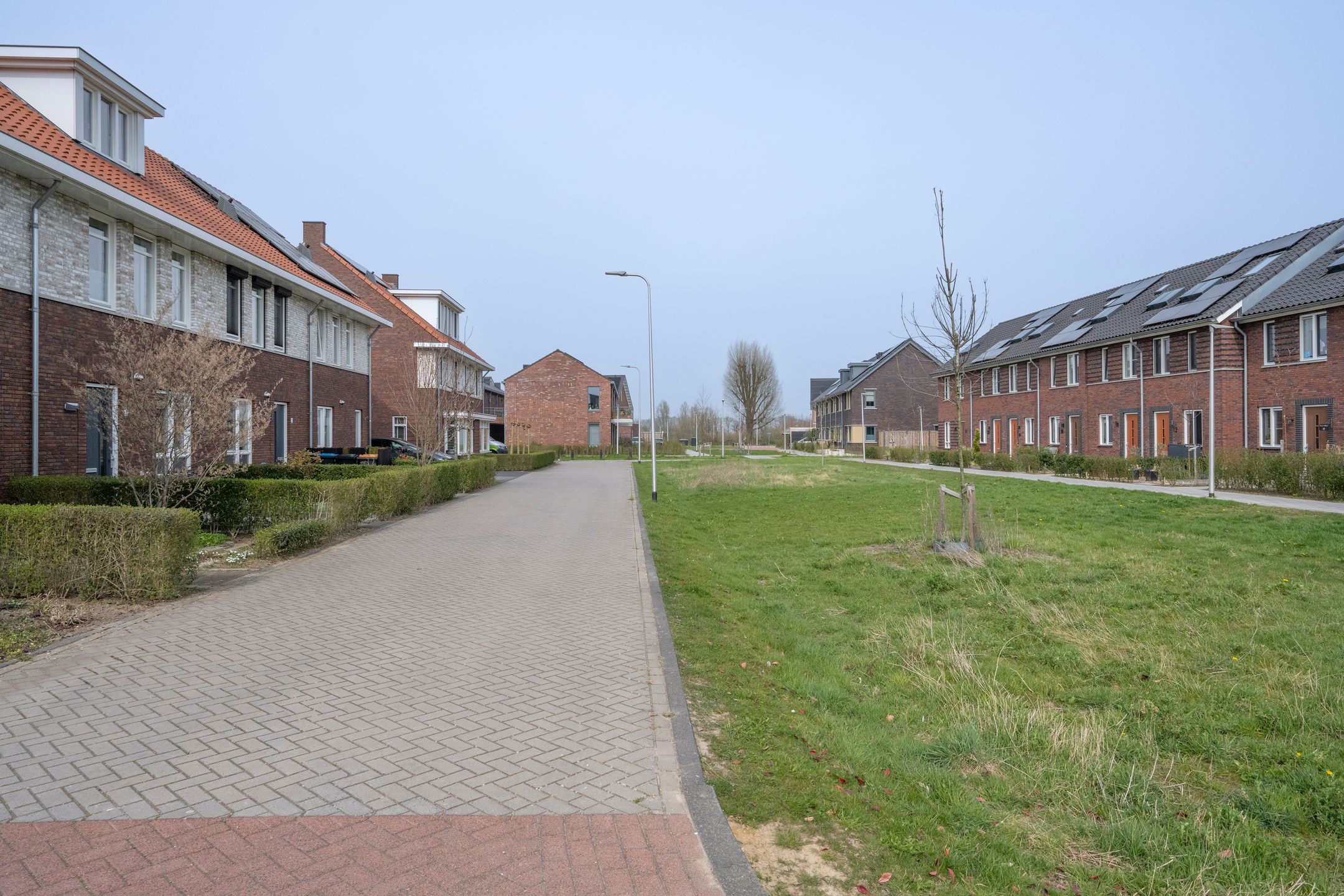 Foto 30 van Zwanenbloem 5