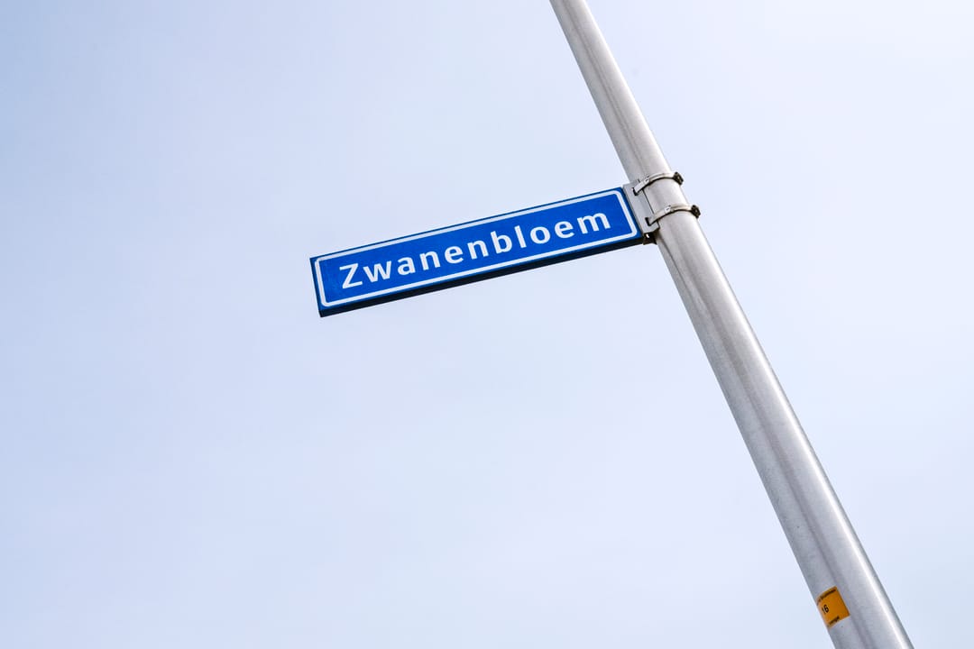 Foto 31 van Zwanenbloem 5