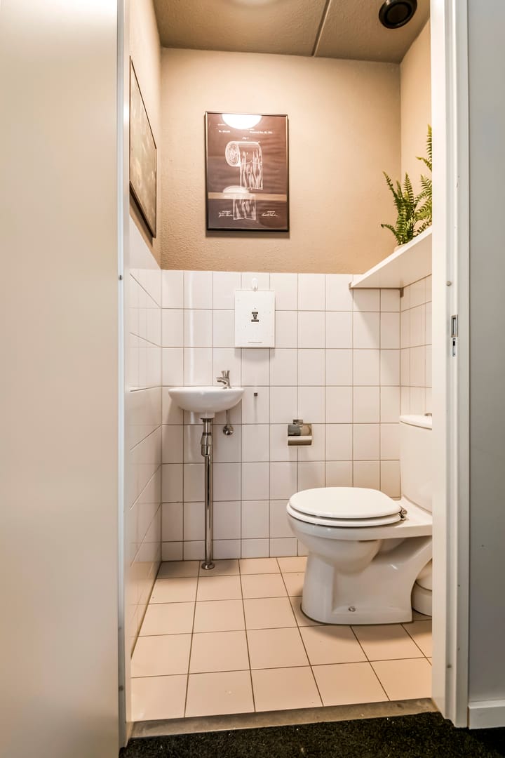 Photo 4 of Dorsvlegel 8