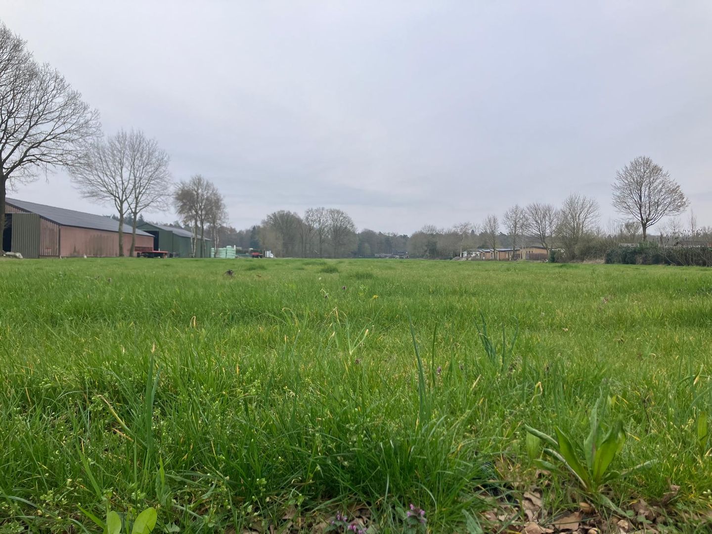 Bekijk foto 1 van Harderwijkerweg